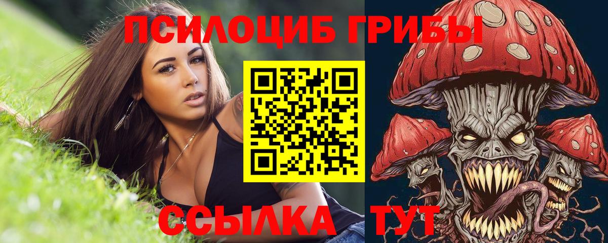 Ликино-Дулёво  Псилоцибиновые грибы прущие грибы  Вход с VPN 